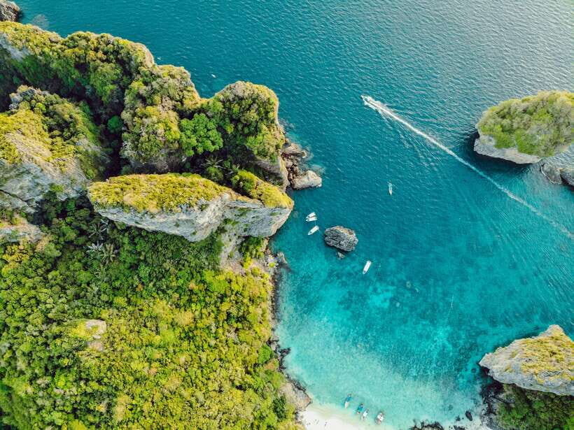 From Phi Phi: Full Day by Longtail Boat with Sunset - Monkey Beach: The Quick Welcome to Phi Phi Wildlife