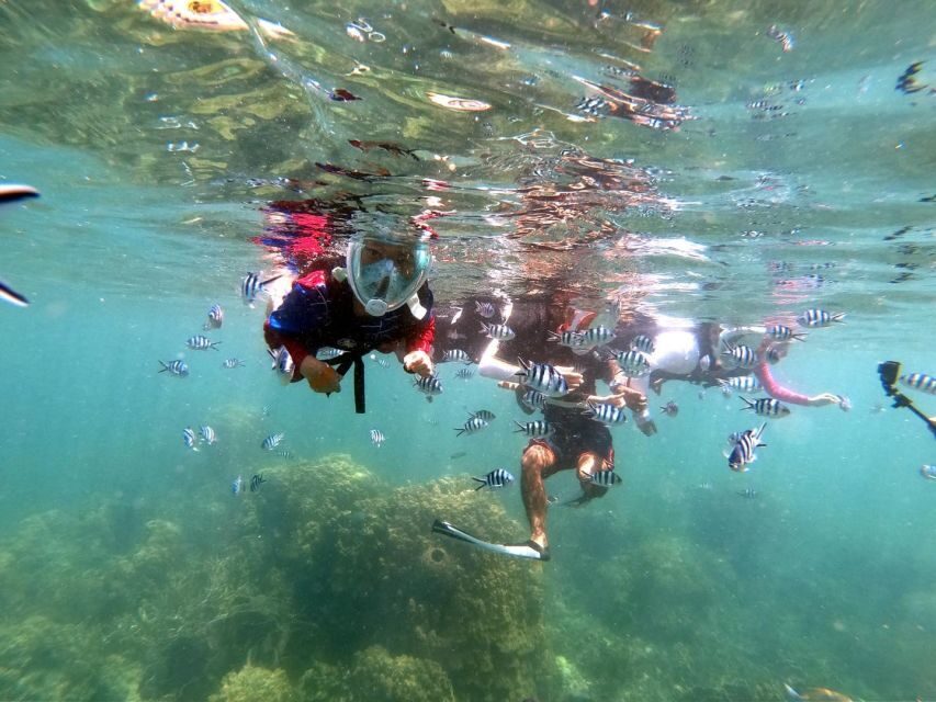 From Phuket: Phi Phi, Maya Bay, & Khai Islands Premium Trip - Monkey Beach Rules: You’ll See Monkeys, But Don’t Plan on Walking
