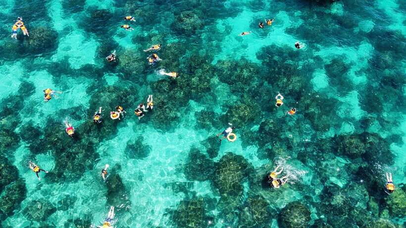 Krabi: Phi Phi and 4 Islands with Snorkeling by Speed Boat - Monkey Beach: Quick Views, Real Photos, Strict Rules