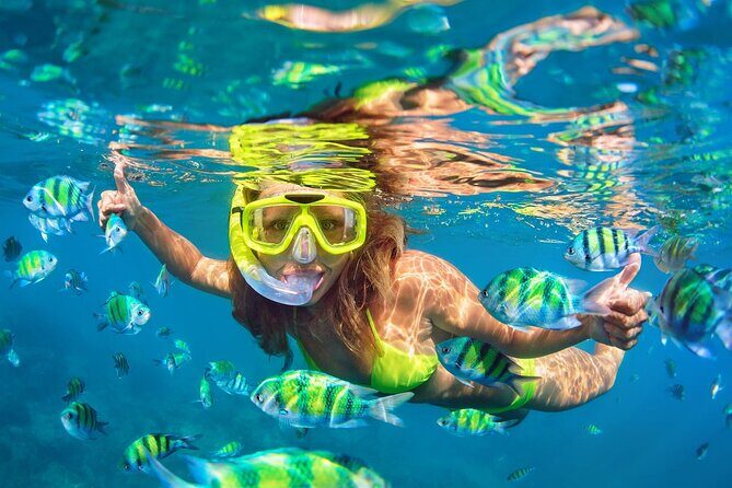Phi Phi & Bamboo Islands Snorkeling Tour with Lunch by Speedboat - Speedboat Whirl from Phuket: timing, transfers, and what to expect