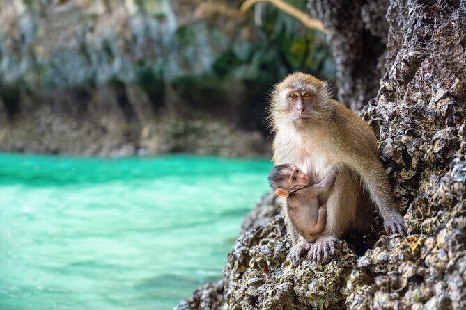 Phuket: Wow Andaman Snorkeling Trip to Phi Phi & Bamboo Islands - Maya Bay, Pi Leh Lagoon, and Viking Cave: iconic stops with rules you must respect